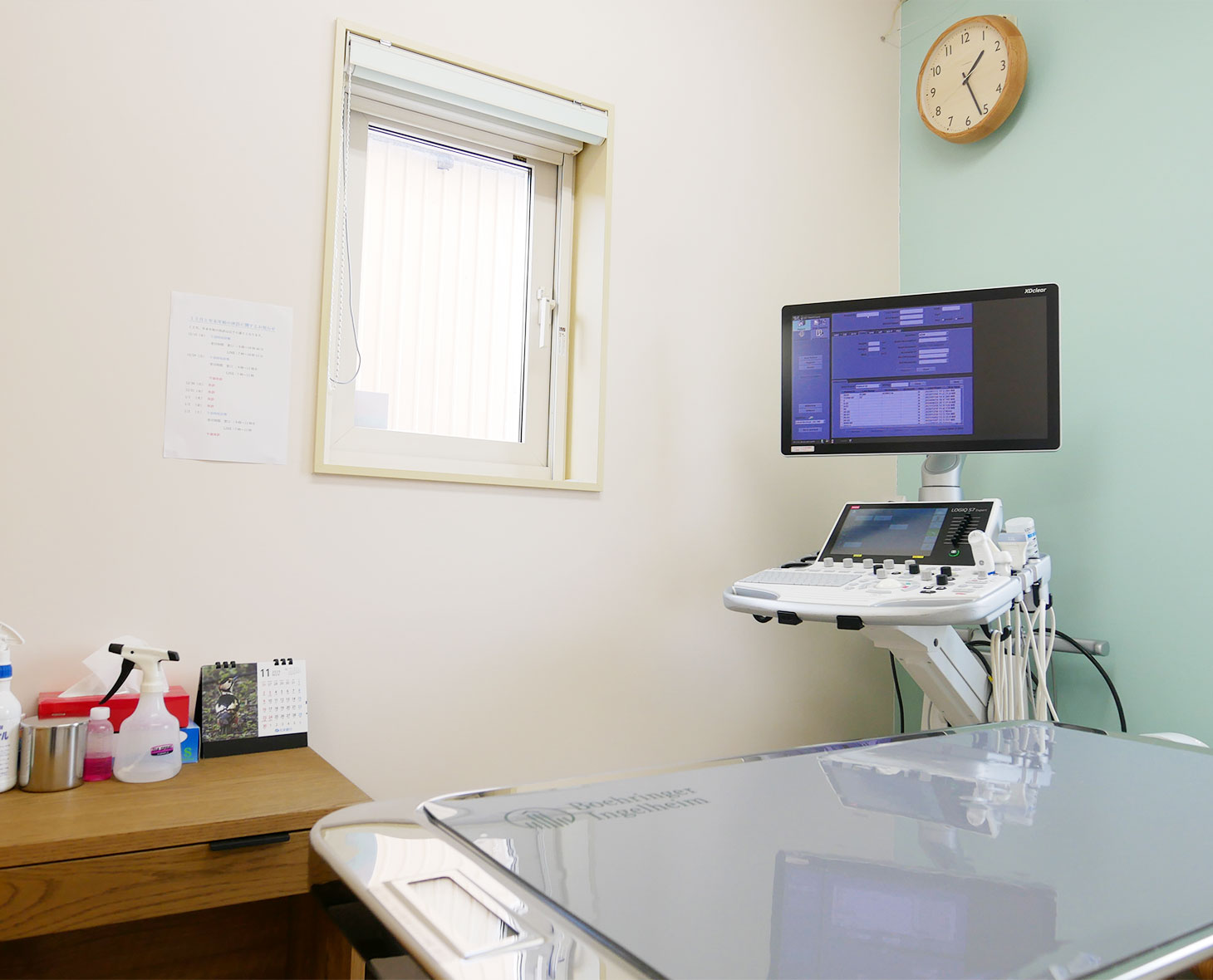 飼い主さまのサポートも充実