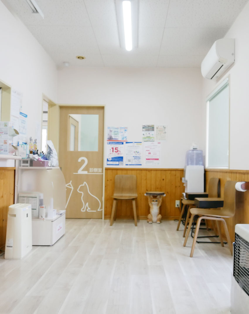 メインビジュアル