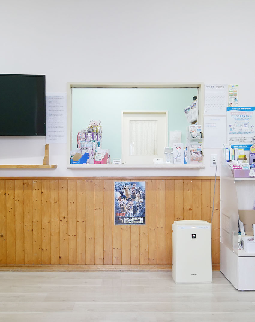 メインビジュアル